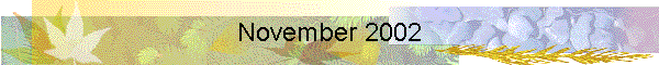 November 2002